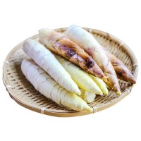 臨安春筍 5斤（20個(gè)左右）新鮮應季竹筍蔬菜 臨安春筍