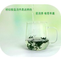 供應批發(fā)絞股藍 花草茶葉 七葉甘味絞股藍嫩葉茶湖南綏寧廠(chǎng)家貨源