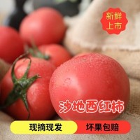 甘肅特產(chǎn)沙地西紅柿 口感番茄 高原生態(tài)蔬菜 新鮮番茄 順豐包郵