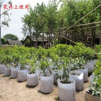 廣州廠(chǎng)家無(wú)紡布植樹(shù)袋加厚白色種植袋育苗袋花卉苗木蔬菜栽培袋