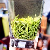 四川明前綠茶宜賓早茶白毫毛尖散裝綠茶定制加工批發(fā)茶葉源頭工廠(chǎng)