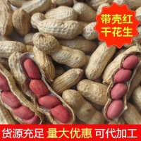 大量批發(fā)東北四粒紅花生果水煮帶殼紅皮干花生果帶殼生花生果新貨