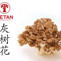 DETAN德添舞茸 新鮮灰樹(shù)花 購買(mǎi)請電話(huà)聯(lián)系，否則不發(fā)貨