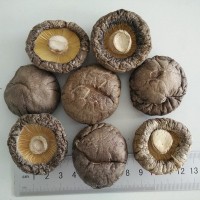 香菇dried mushroom 廠(chǎng)家直銷(xiāo)干香菇 光面菇4-5 湖北香菇產(chǎn)地