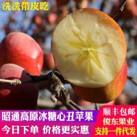 云南昭通蘋(píng)果高原紅富士冰糖心丑蘋(píng)果新鮮水果5斤10斤順豐包郵