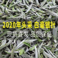 首日芽白毫銀針頭采福鼎白茶高山磻溪日曬新茶葉散裝現批發(fā)