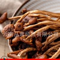 茶樹(shù)菇干貨散裝金針菇燉湯煲湯食用菌展銷(xiāo)會(huì )地攤批發(fā)