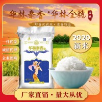 江西大米10斤華林金穗華林泰香米5Kg當季新米象牙米清香撲鼻廠(chǎng)批