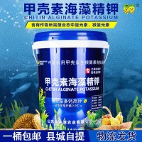 果樹(shù)蔬菜生根膨果肥桶裝肥料 海藻甲殼素沖施肥高鉀葉面水溶菌肥