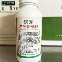 供應牛膝專(zhuān)用葉面肥