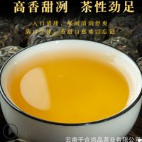 現貨批發(fā) 大雪山龍珠 云南普洱茶生茶 散裝春茶 廠(chǎng)家直發(fā)