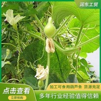 廠(chǎng)家銷(xiāo)售干瓢葫蘆條 葫蘆條壽司材料 食品包扎捆扎用葫蘆絲