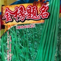 批發(fā)蔬菜種子 華贛翠綠長(cháng)豆角 基地 菜園 菜場(chǎng)種子 400克廠(chǎng)家供應