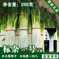 大蔥種子大蔥籽蔬菜種子批發(fā)菜種菜籽種子公司四季播種