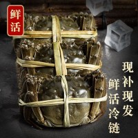 10只全母滿(mǎn)黃大閘蟹鮮活大螃蟹包郵母蟹禮盒1-4兩源產(chǎn)地冷鏈直發(fā)