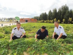 服務三農 汕尾稅務多管齊下推廣農業(yè)稅惠政策