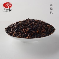 土氣和五谷雜糧批發(fā) 血糯米黑糯米食品廠(chǎng)家批發(fā) 一件代發(fā)