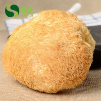 鑫吉挑選食用菌特產(chǎn)干貨猴頭菇 無(wú)熏金猴王猴頭菇500g批發(fā)