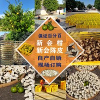 正宗新會(huì )柑、新會(huì )陳皮批發(fā)