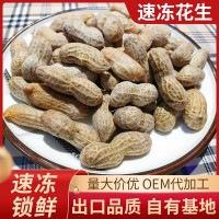 山東廠(chǎng)家速凍花生 速凍帶殼花生 酒店餐廳冷凍蔬菜批發(fā)冷凍花生