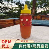 農場(chǎng)供應養殖蜂蜜 500g棗花蜜瓶裝 蜂蜜廠(chǎng)家供應現貨代發(fā)