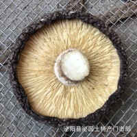 新香菇干貨產(chǎn)地批發(fā)直銷(xiāo)泌陽(yáng)縣泌園土特產(chǎn)黑面干香菇蘑菇一件代發(fā)