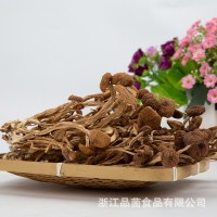 200g茶樹(shù)菇批發(fā) 農家自種不開(kāi)傘茶薪菇食用菌菇干貨無(wú)硫特產(chǎn)樹(shù)菇