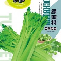 現貨供應芹菜籽 產(chǎn)地貨源芹菜子蔬菜種植批發(fā)