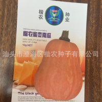 蜜棗金香小南瓜種子批發(fā) 品質(zhì)好口感好 座果強耐儲運