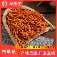 潤曦堂 廠(chǎng)家批發(fā)定制貼牌干貨煲湯材料 孢子頭干蟲(chóng)草花