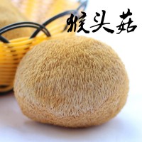 廠(chǎng)家直供猴頭菇提取物猴頭菇多糖提取物30% 質(zhì)量達標品質(zhì)高提取物