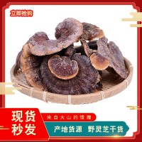 云南土特產(chǎn)中藥材滋補品 野靈芝 朵型完整煲湯食材250g批發(fā)