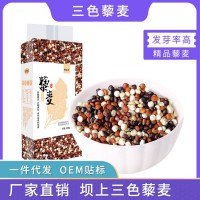 廠(chǎng)家批發(fā) 三色藜麥500g/袋張家口壩上黑白紅藜麥混合裝JP