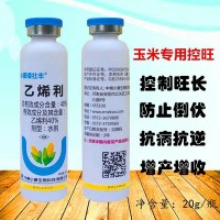 小麥玉米矮壯豐乙烯利玉米控旺縮節矮化植物生長(cháng)調節劑20g