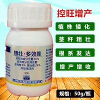 矮壯素多效唑小康控得力植物控旺劑縮節矮化50g植物生長(cháng)調節劑