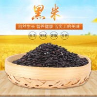 批發(fā)25kg五谷雜糧黑米 袋裝東北黑香米 煮粥做飯營(yíng)養健康濃香