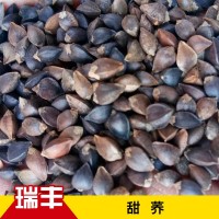 批發(fā)供應甜蕎500g黑蕎麥帶殼甜蕎麥釀酒鳥(niǎo)糧五谷雜糧原料燒酒蕎麥