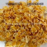 產(chǎn)地大量玉米熟化玉米壓片 豬牛羊飼料 蒸汽玉米壓片 壓片玉米