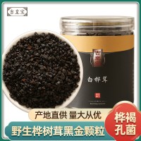 樺樹(shù)茸250g黑金顆粒白樺茸大塊長(cháng)白山樺褐孔菌白樺茸代發(fā)廠(chǎng)家直銷(xiāo)