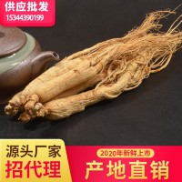 東北白參集安邊條參泡酒煲湯 長(cháng)白山8年根全須生曬參干人參禮盒裝