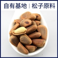 【源頭工廠(chǎng)】生松子批發(fā)散裝大顆粒野生東北大紅松子樹(shù)籽整箱堅果