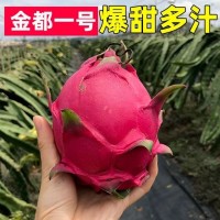 金都一號新鮮水果批發(fā)當季整箱5斤非越南廣西農產(chǎn)品紅心火龍果