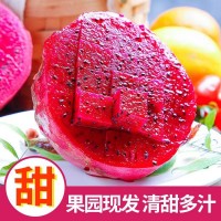 水果批發(fā)金都一號當季紅心火龍果新鮮農產(chǎn)品整箱5斤一件代發(fā)