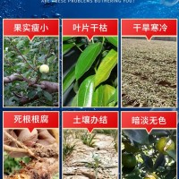 廠(chǎng)家現貨濃縮海藻肥18公斤葉面肥 有機肥 水溶肥 海藻肥