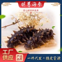 明尊9A級大連即食海參500g刺參鮮蒸即食海參 廠(chǎng)家批發(fā) 順豐發(fā)貨