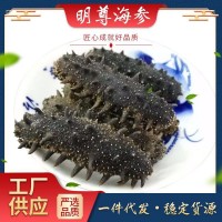 大連A級 淡干海參500g 廠(chǎng)家批發(fā) 非即食海參 海參干貨 海參禮盒裝