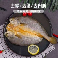 海肴膳醇香黃魚(yú)鲞黃瓜魚(yú)阿信水產(chǎn)批發(fā) 寧德大黃魚(yú)新鮮冷凍黃花魚(yú)