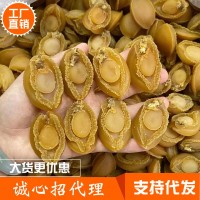 大連鮑魚(yú)干貨一斤裝送禮佳品 支持禮盒裝 鮮活鮑魚(yú)加工佛跳墻食材