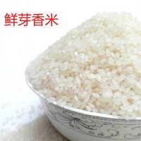 廠(chǎng)家直批南粳鮮芽大米9108熬粥米香粘軟糯50斤興化大米 2袋起批