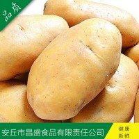 供應出口中東、東南亞級保鮮荷蘭7號、15號（價(jià)格面議）